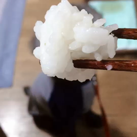 我が家のいちかさん（犬）の画像