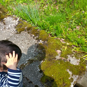 自然と戯れる(^^;の画像