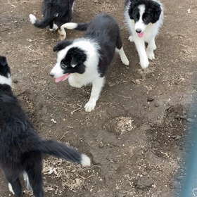 初めての土の画像