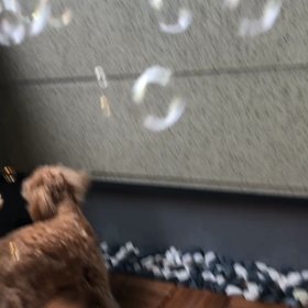 ☆みんな違ってみんないい☆の画像