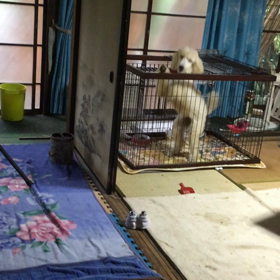 再度挑戦の画像