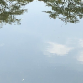 飛び跳ねる。の画像