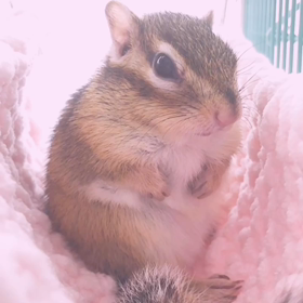 ふてくされももと変態ママ♪の画像