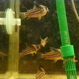 異常あり！の画像