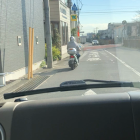 ネズミ取りの画像