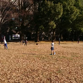 ジャベリック②の画像