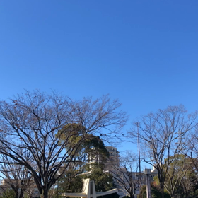 天沼公園2021/01/11・トレンドランキングの画像