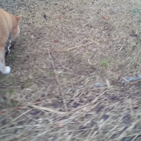 無視なの？の画像