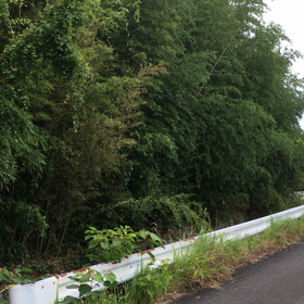 母も頑張るの画像