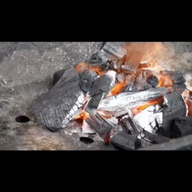 今年最後のの画像