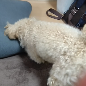 なんか出てきますか?の画像