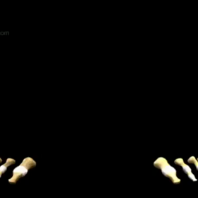 【骨】と【腱】の画像