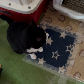 今朝のお見送りの画像