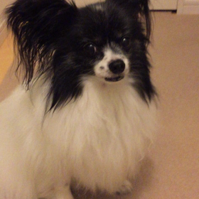 おかわり〜って言うと？(*^^*)の画像