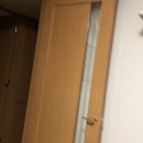 相変わらず紅虎餃子房。デールもびっくり！マリーちゃん大丈夫？の画像