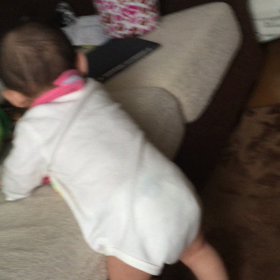 自分の名前嫌い( ･᷄д･᷅ )の画像