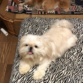 今朝の我が家の画像