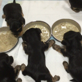 あっという間に❗️の画像