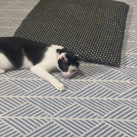 好きよね〜の画像