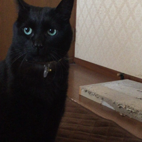 おはようございます(oﾟ▽ﾟ)o　オハョ～の画像