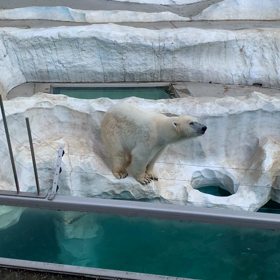 連休　どうしてます？の画像