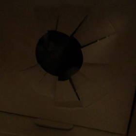 ごめんねデール！怒った？　またまた行ってくるけど…の画像