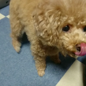 素直なんだよなぁの画像