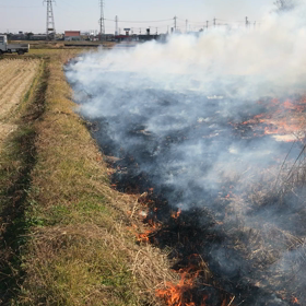田んぼで火燃し　ƪ(˘⌣˘)ʃの画像