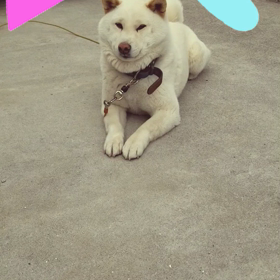 こわい♪の画像