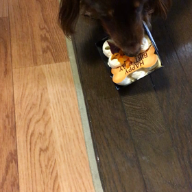 愛しの君の画像