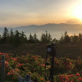 今朝の富士山ですって！の画像