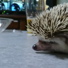 ＃こんな時間にごめんなさい(>_<)＃の画像