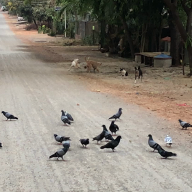 既に暑い...の画像