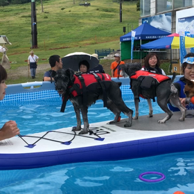 オマケ(°_°)の画像