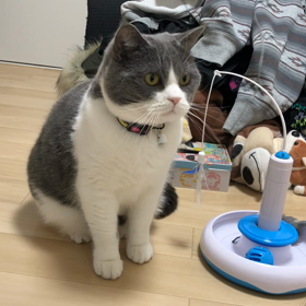 ハンターの画像