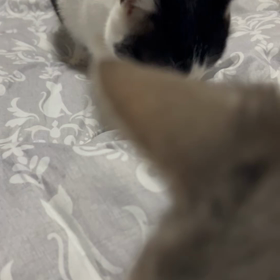 ”半径１メートル”の画像