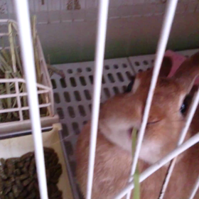 親バカです(笑)の画像