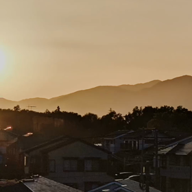 一年を振り返っての画像