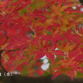 ☘️☕️☘️の画像