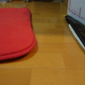 1684.ろぅずとらむのバトル？の画像