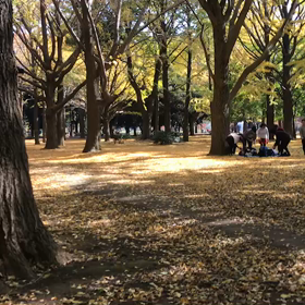 ♪お散歩動画♪代々木公園♪の画像