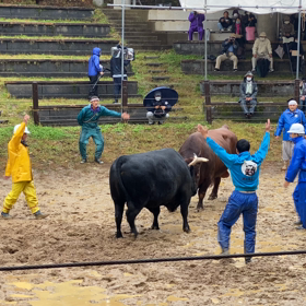 ☆ こんな世の中でも ☆の画像