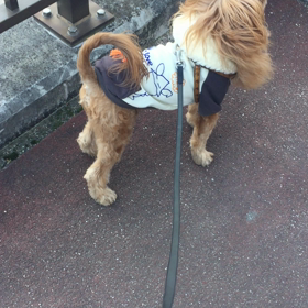 鼻いい〜♪の画像