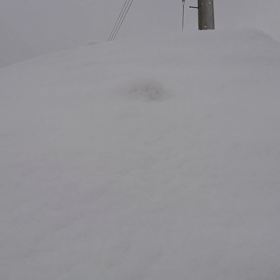 ナマズアタック。の画像