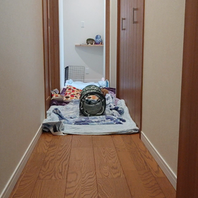 暑いですの画像