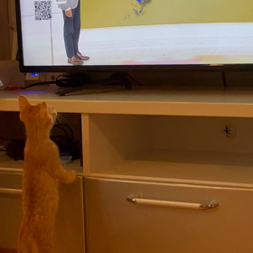 努力は実るの画像