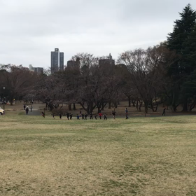 芝生坂ダッシュ(Bグループ)⑯の画像