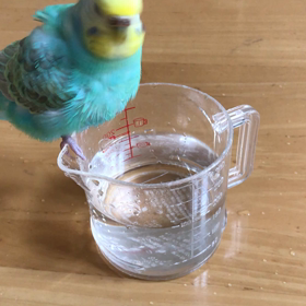 今日から三連休♡の画像