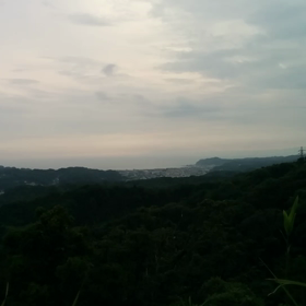 ミナモキラリの画像