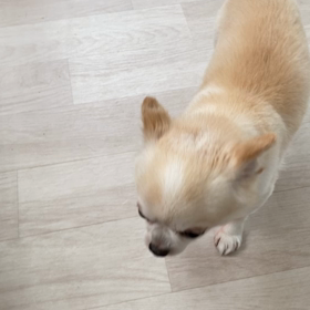 おはようございます！の画像